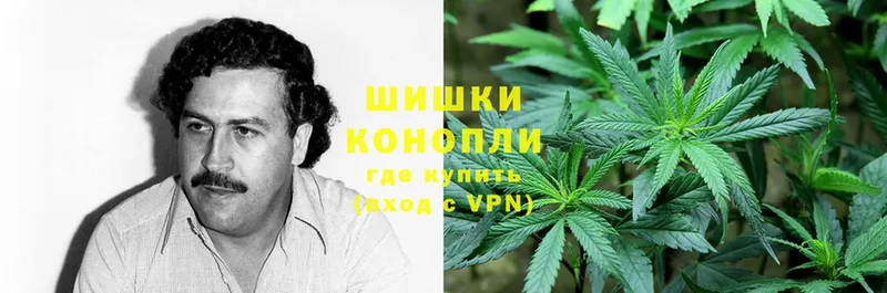 Бошки Шишки OG Kush  маркетплейс как зайти  Глазов 